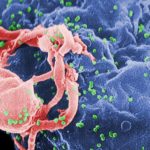 Kobieta-naukowiec uhonorowana za unijne badania nad AIDS