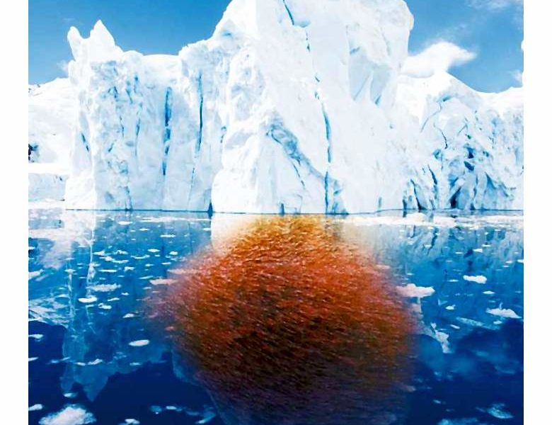 Kwasy omega-3 – ich zalety i znaczenie dla zdrowia