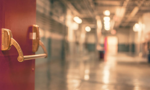 Genetyczna metoda badania kleszczy pomaga wdrożyć odpowiednie leczenie