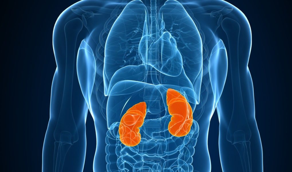 Diagnozowanie chorób układu moczowo-płciowego