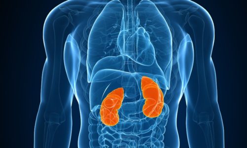 Diagnozowanie chorób układu moczowo-płciowego