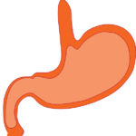 stomach-310730_640 Jak zaradzić bólom brzucha