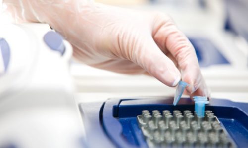 Certyfikat jakości GEDNAP dla testów ojcostwa wykonywanych przez testDNA