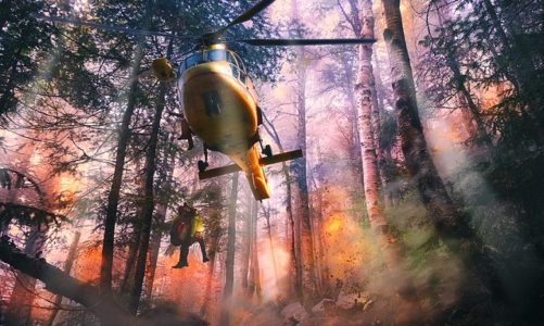 12.09 – Światowy Dzień Pierwszej Pomocy – „Przygotuj się na wstrząs”