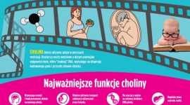 Cholina – reżyser filmu o przyszłości Zdrowie, BIZNES - Cholina to prawdziwa gwiazda wśród substancji odżywczych. Potrzebna jest od samego początku życia aż po jego kres. Kształtuje mózg i układ nerwowy płodu, zapobiegając jego defektom. Zmniejsza ryzyko wystąpienia chorób cywilizacyjnych. Posiada nawet właściwości… epigenetyczne!