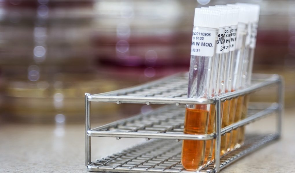 Instytut-Mikroekologii4 Mikroflora jelitowa, fakty i mity o bakteriach