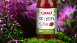 Sok z brzozy – posmakuj siły natury