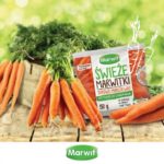 Chcecie być fit, szczupli i cieszyć się idealną sylwetką? Pomogą ćwiczenia