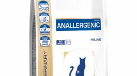 Najnowsze badanie wpływu diety na występowanie objawów dermatologicznych u kotów Zdrowie, BIZNES - Zastosowanie diety Anallergenic Royal Canin istotnie zmniejszyło u badanych kotów zarówno występowanie zmian skórnych, jak i stopień odczuwanego przez nie świądu.