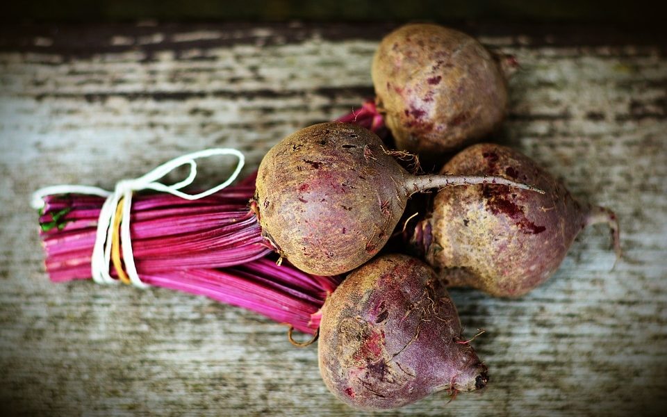 burak foto CC0 pixabay.com Potas – jeden z najważniejszych pierwiastków dla organizmu człowieka