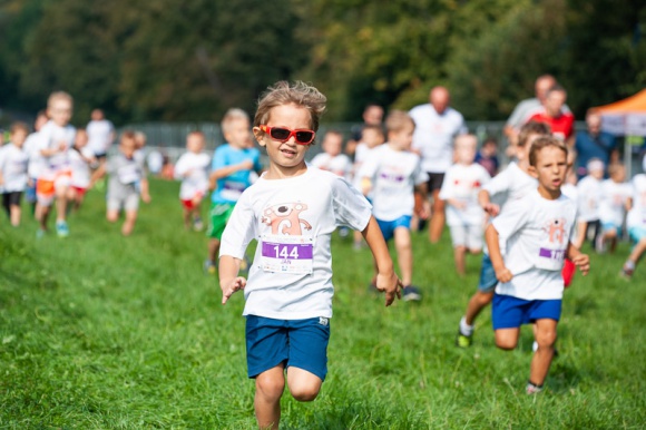 Skuteczna walka z nowotworami u dzieci przy wsparciu Fundacji Tesco Zdrowie, BIZNES - W ramach 8. Biegu Charytatywnego Fundacji Tesco zostanie zakupiony nóż ultradźwiękowy, przeznaczony do mało inwazyjnego usuwania nowotworów u dzieci.