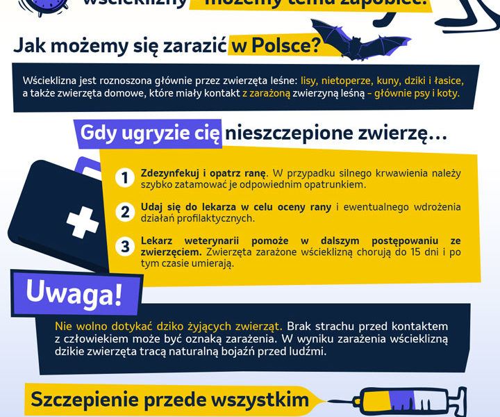 Wścieklizna (łac.rabies) – śmiertelna choroba zakaźna, przed którą możemy się chronić
