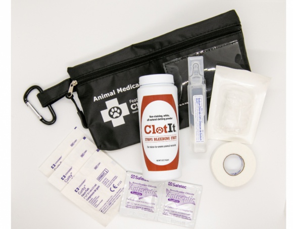 Najczęstsze urazy zwierząt domowych i jak im pomóc? Zdrowie, BIZNES - Świąteczna przerwa to idealny czas na przyjrzenie się naszym pupilom i pomyślenie, co jeszcze możemy zrobić, żeby zapewnić im bezpieczeństwo w domu i na spacerach. To właściciel jest pierwszą osobą, która będzie umiała udzielić skutecznej pierwszej pomocy.